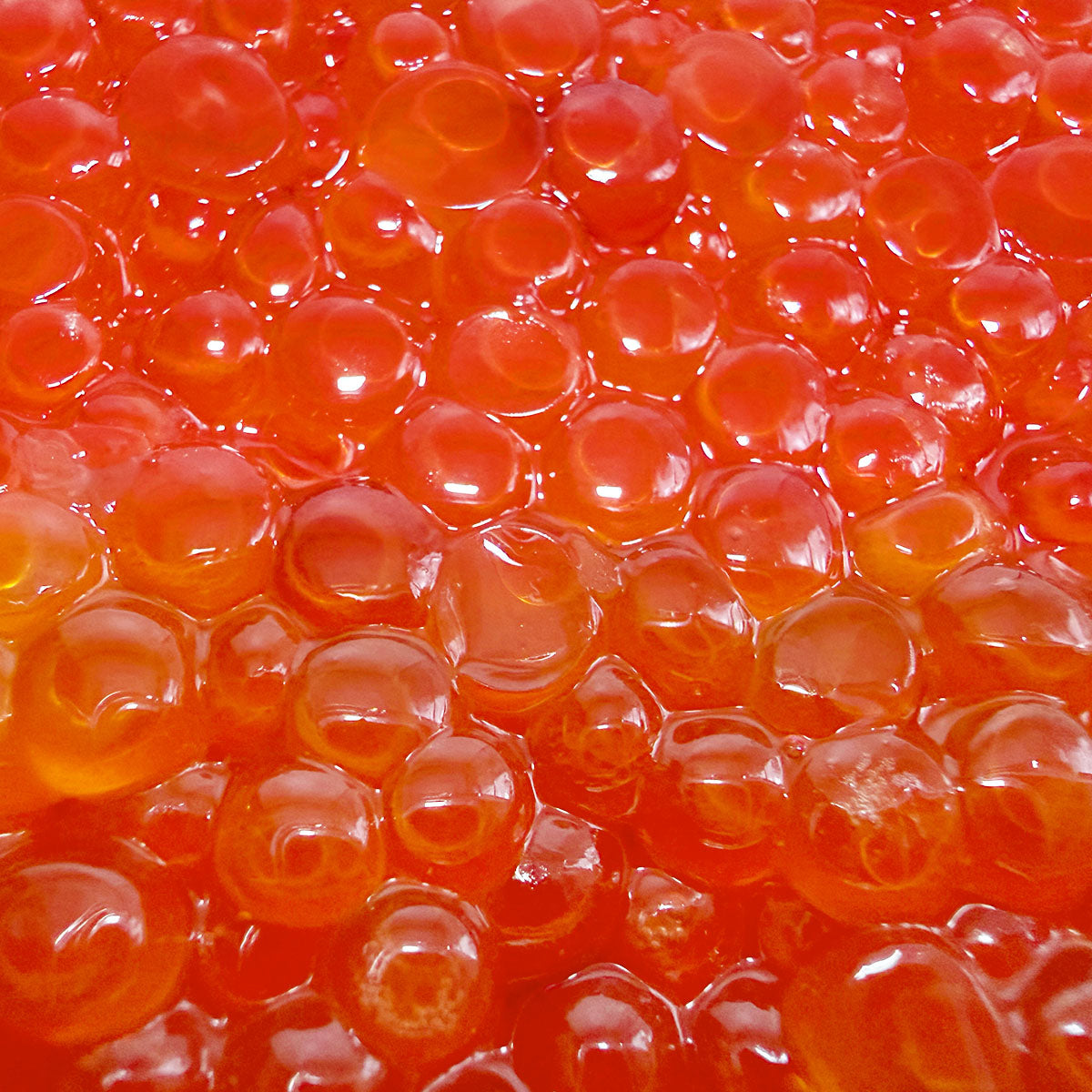 Cooper River Wild Pink 500g