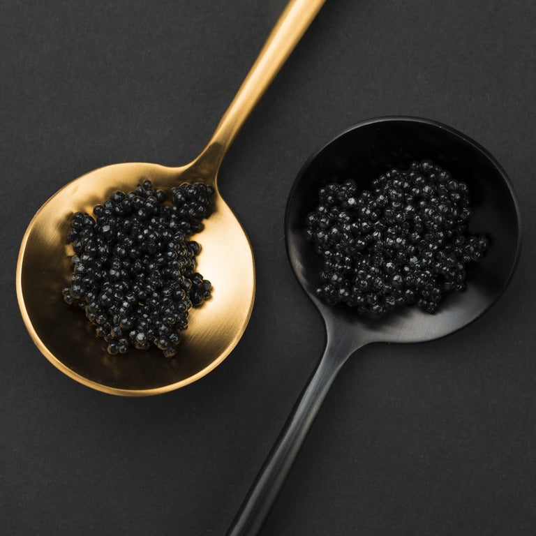 Premium Quality Caviar Products