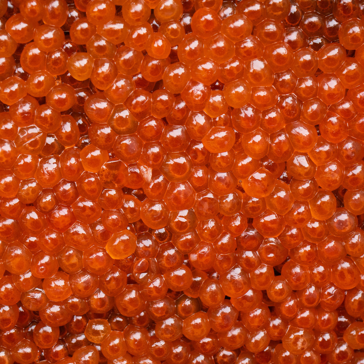 Alaska Glacier Chum Caviar 250g