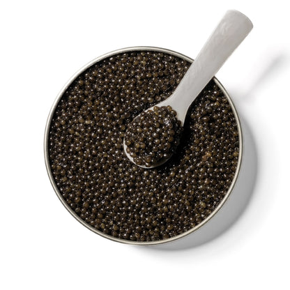 CAVR Siberian Supreme