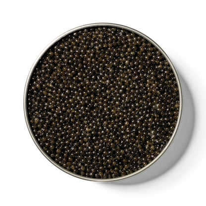 CAVR Siberian Supreme