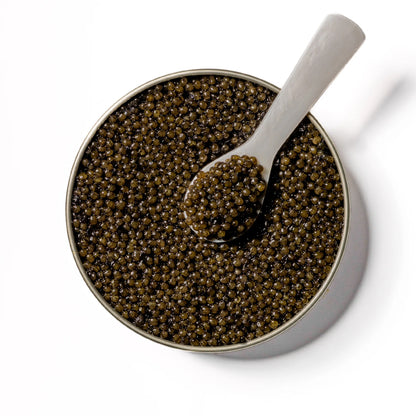 CAVR Osetra Imperial