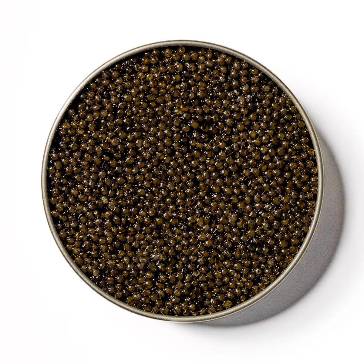 CAVR Osetra Imperial