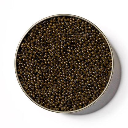 CAVR Osetra Imperial