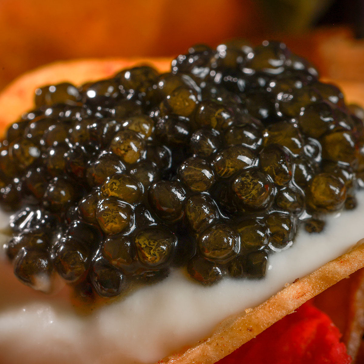 Private Reserve - Caspian Siberian Sturgeon Caviar – GTCaviar