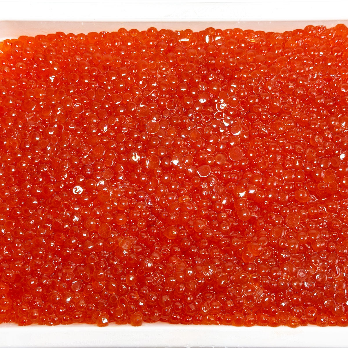 Cooper River Wild Pink 500g