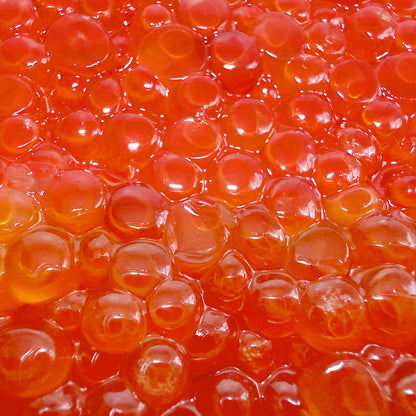 Cooper River Wild Pink 500g