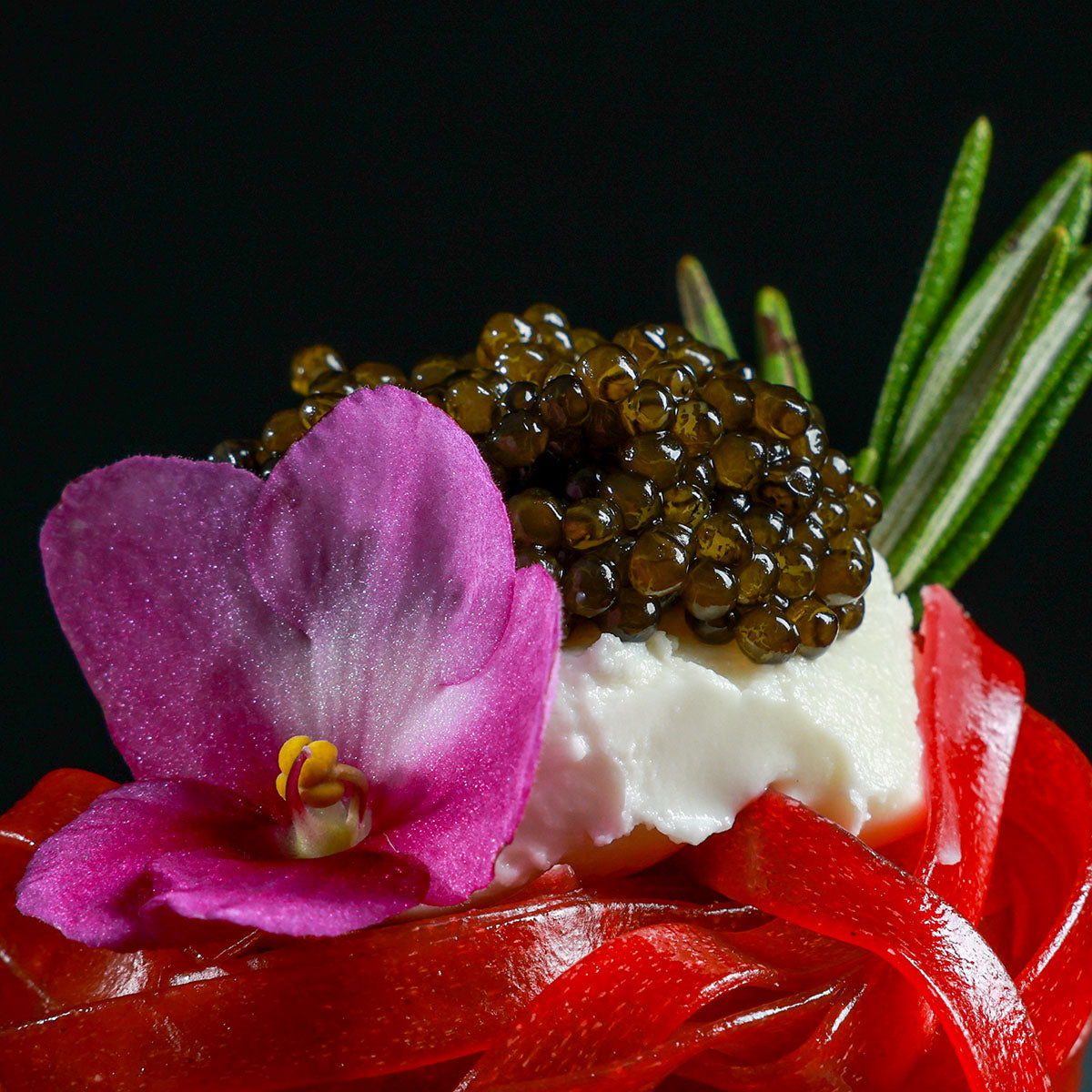 Kaluga Fusion Sturgeon