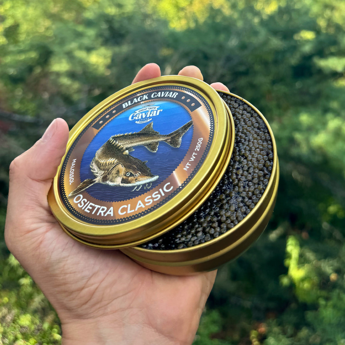 Caviar Osetra Reserve Classic