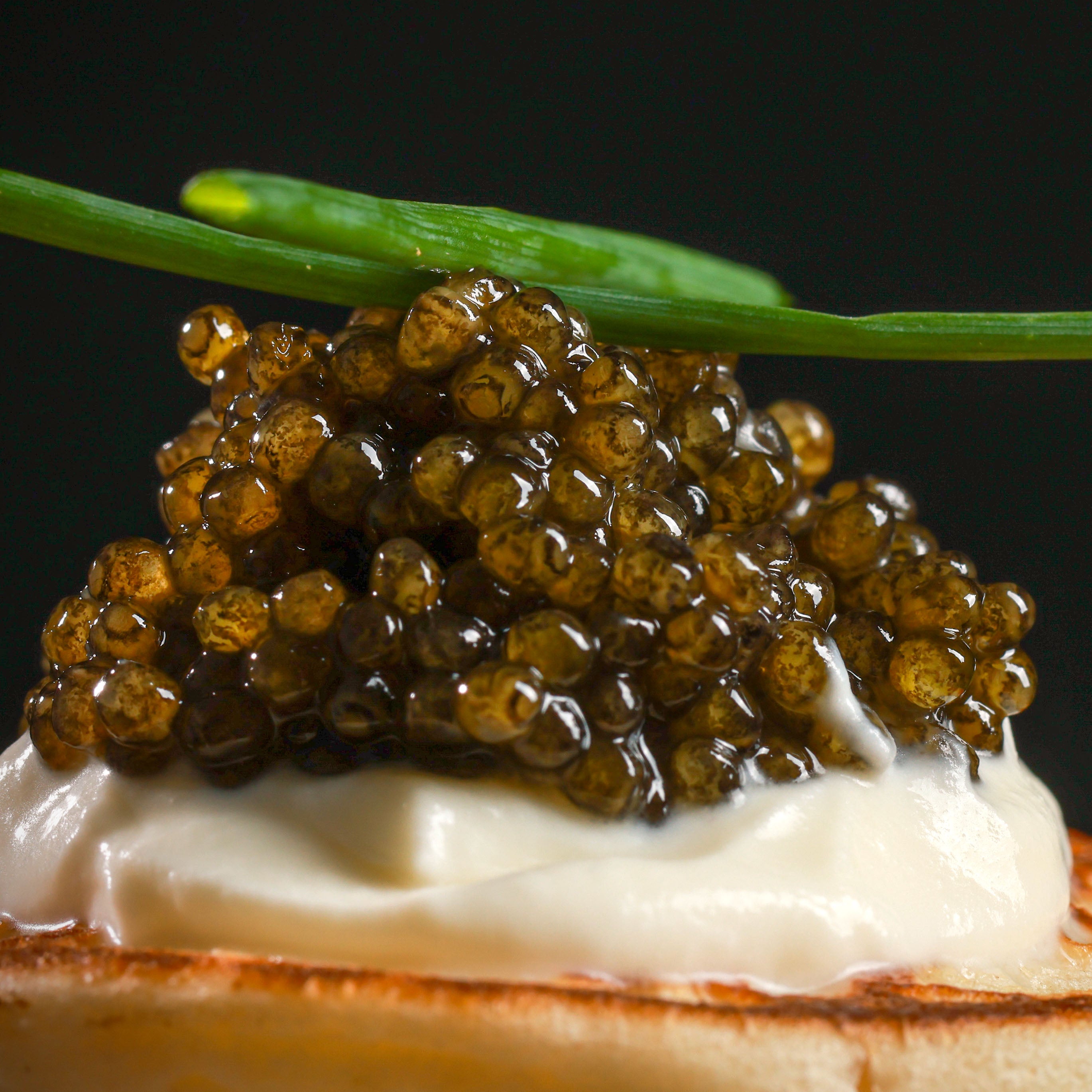 洋楽 S.T. Caviar Buy Premium Caviar in Singapore | CAVIAR D'EDEN SAVOURY OSCIETRA