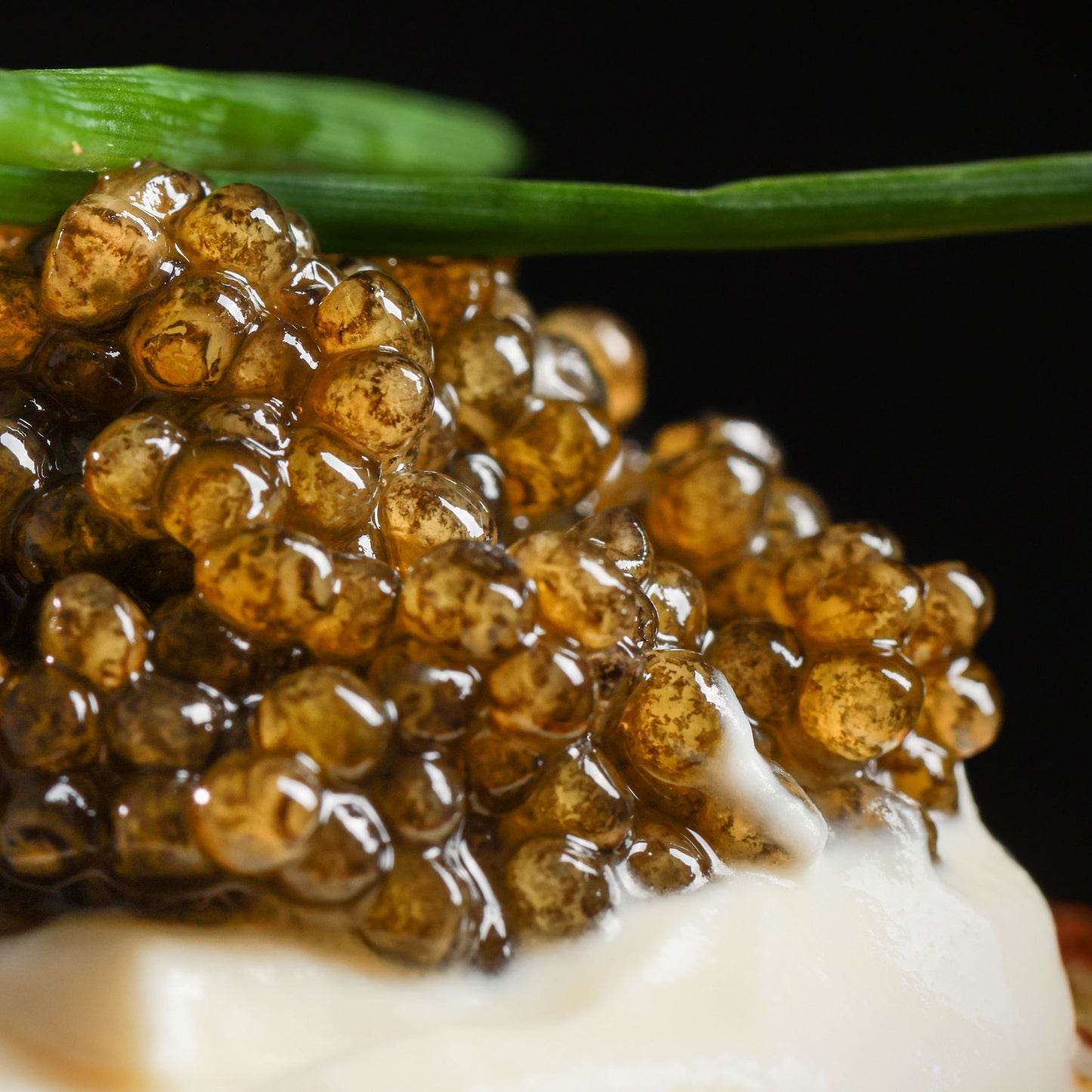 Caviar Osetra Reserve Classic