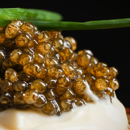 Caviar Osetra Reserve Classic
