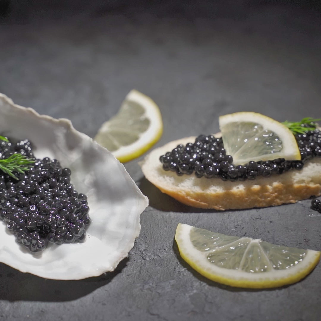 Siberian Sturgeon – GTCaviar
